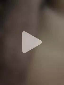 official_plsr5 photo 15