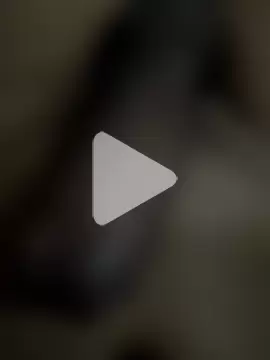 official_plsr5 photo 14