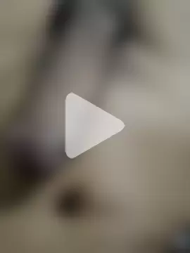 official_plsr5 photo 13