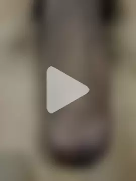 official_plsr5 photo 12