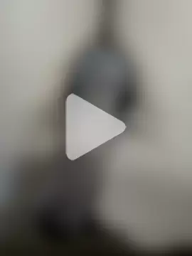 official_plsr5 photo 11