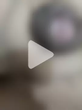 official_plsr5 photo 7