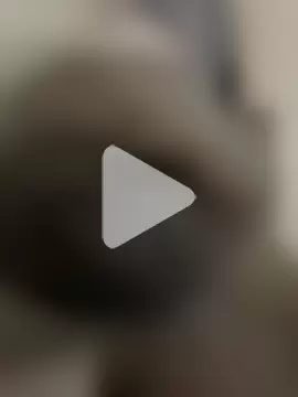 official_plsr5 photo 5