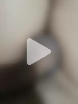 official_plsr5 photo 3