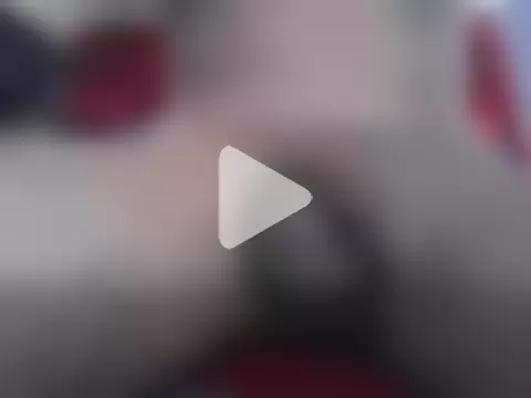 official_plsr5 photo 1