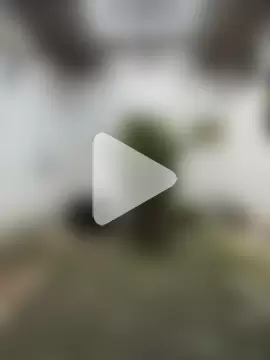 oliver_price1 photo 24