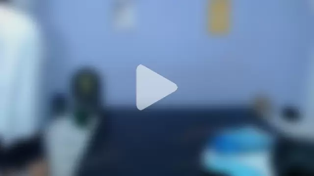 onixandghosty1 photo 10