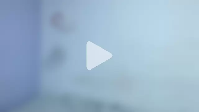 onixandghosty1 photo 14