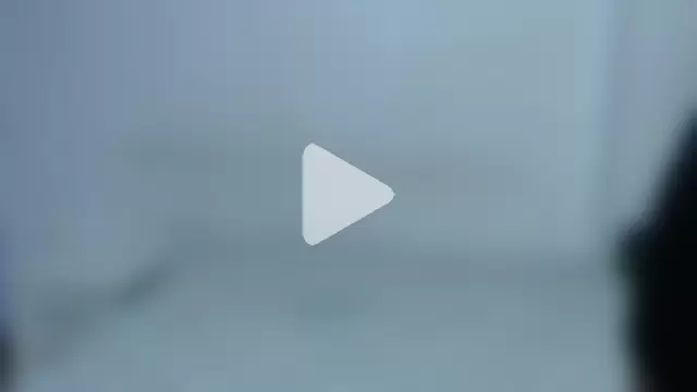 onixandghosty1 photo 15