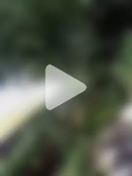 onlymasti00 photo 15