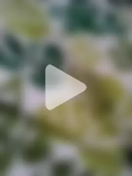 pablozacarias photo 2