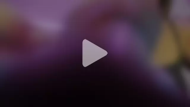 pamerlaandersonxxox photo 3