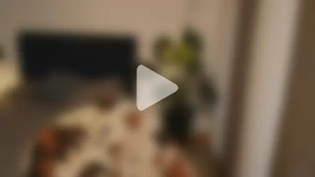 pansuggarofficial photo 2