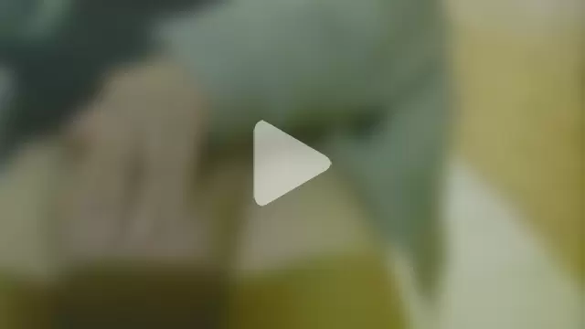 papillonhotofficial photo 6