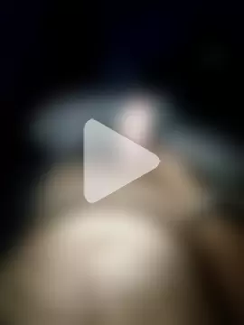 pascalino100 photo 16