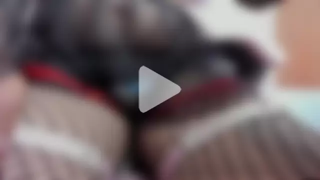 paula_kawaiifu_ photo 2