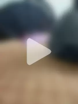 payal_261072_ photo 26