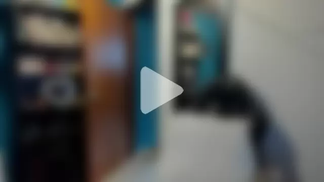 peanut_tangerine photo 9