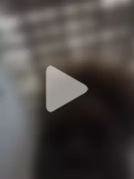 pearlavih25_la photo 3