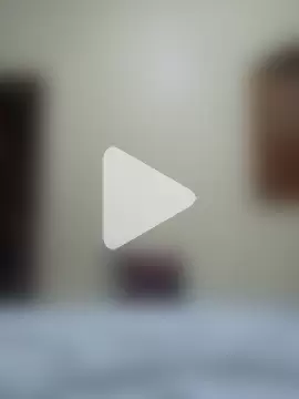 pedronovinho123 photo 4