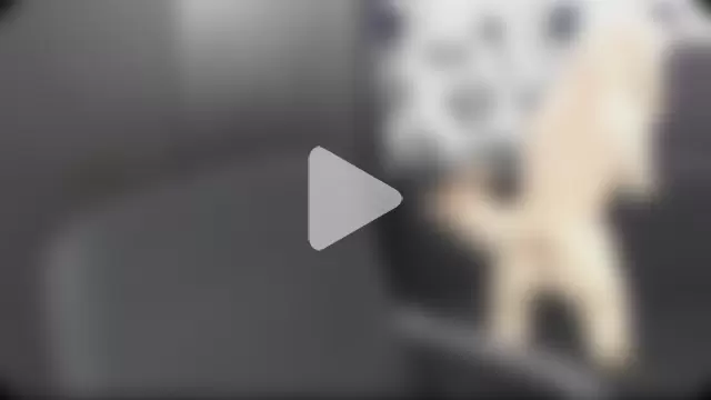 perlahotboobs photo 16