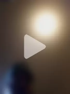 personalityalwayswins2 photo 3