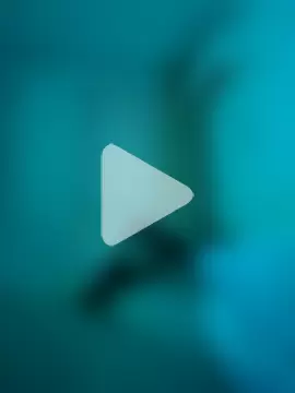 petarpalashev8777 photo 12