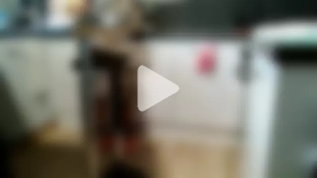 petite-Alondra photo 8