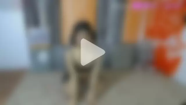 petite_paola photo 9