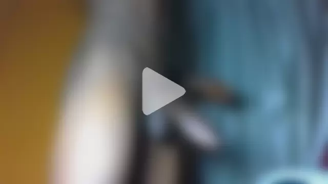 philippiano33 photo 7