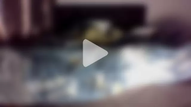 philippiano33 photo 1