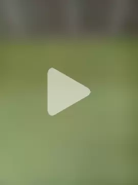 phumlanisanka photo 1