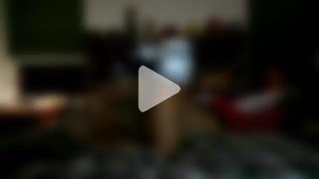 pimpdaddy4ever photo 29