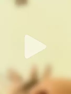 pitoduroparati photo 6