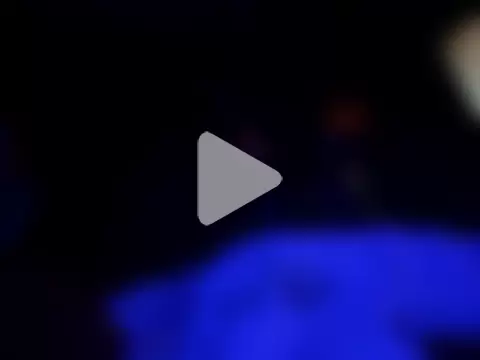 playboykiller photo 10