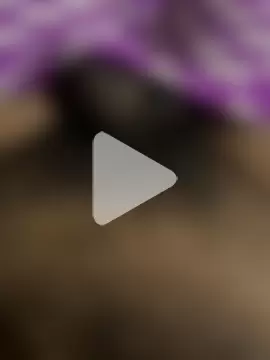 playboyoftelugu photo 3