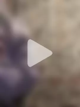 pleasedontpressaredburton photo 25