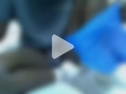 pointy_bloom photo 13