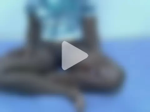 pointy_bloom photo 19