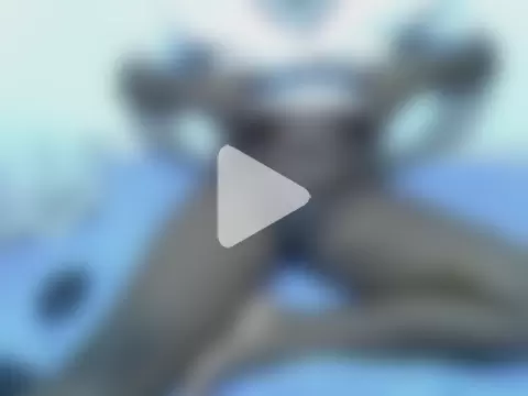 pointy_bloom photo 9