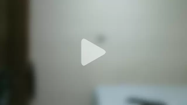 pornstarbrezillian photo 24