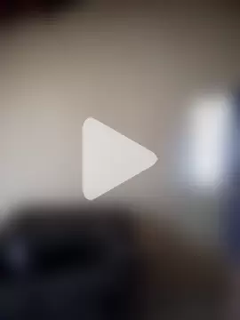 pornstarbrezillian photo 23