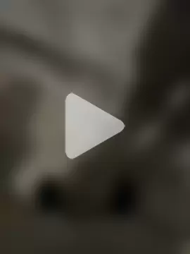 portugadopau photo 29