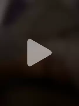 portugadopau photo 18