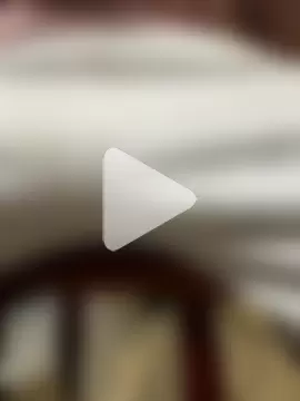 portugadopau photo 7