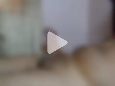 powerman198119813 photo 25