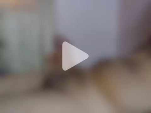 powerman198119813 photo 23