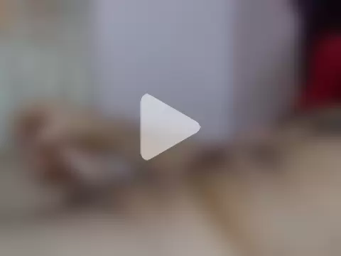 powerman198119813 photo 8