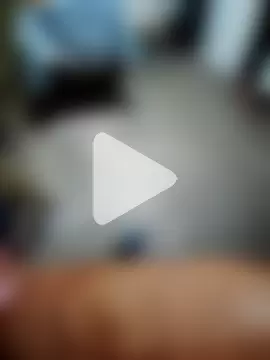 prazerarmando photo 1