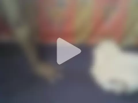 princess-maira photo 24